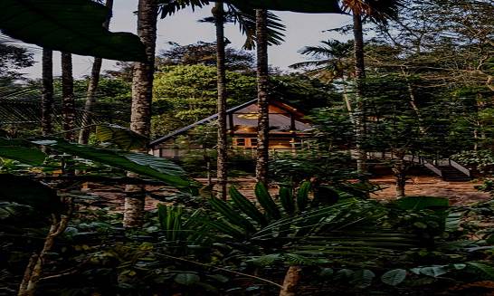 A-Frame cottage in midst of Coffee Estate, Madikeri, Karnataka