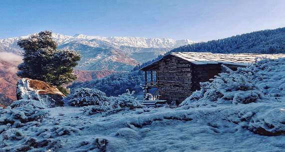 Sooty's Hideout ~ Beat the Blues Room, Shangarh, Himachal Pradesh