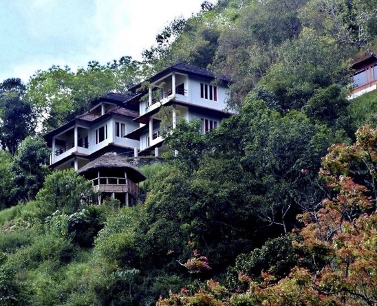 Blackberry Hills (Munnar, Kerala)