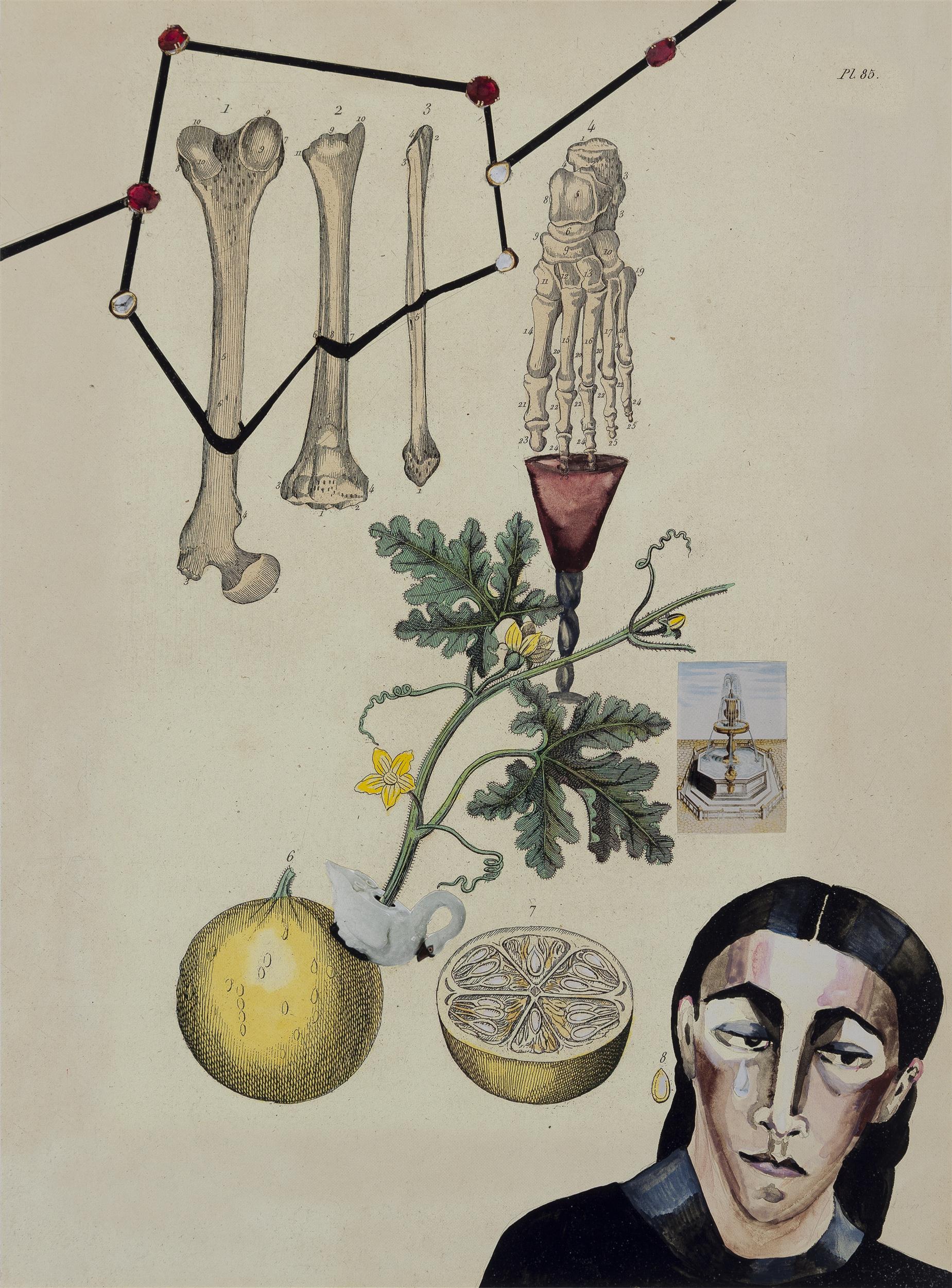 Artist Anju Dodiya Fountain