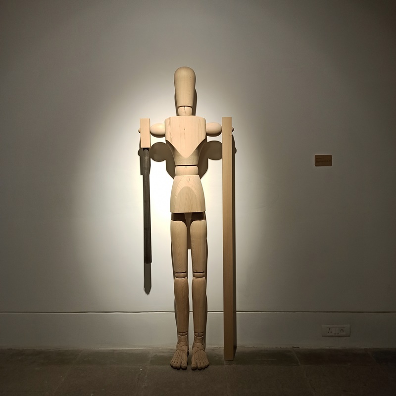 Artist Riyas Komu's Collection