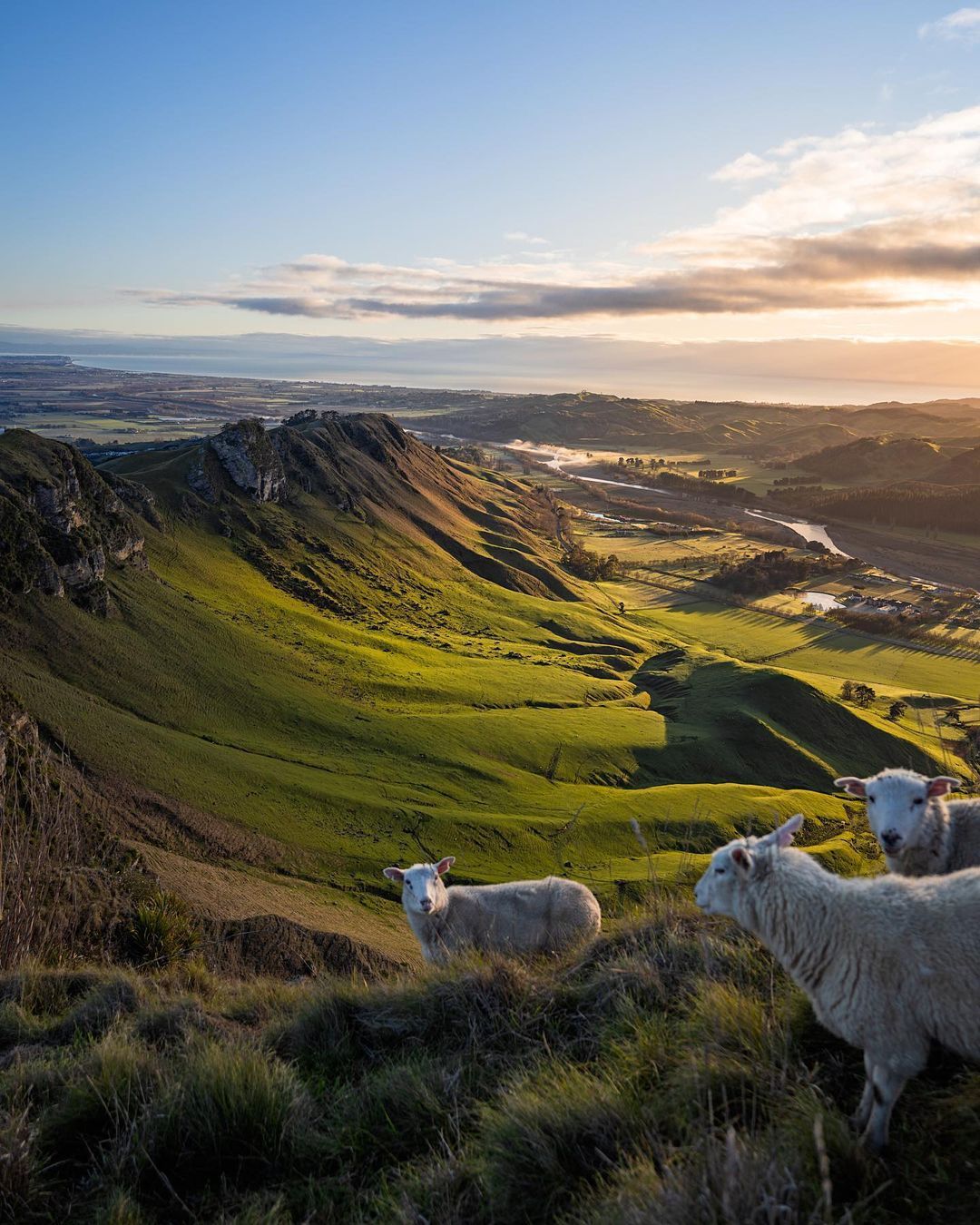 (Photo: purenewzealand/Instagram)