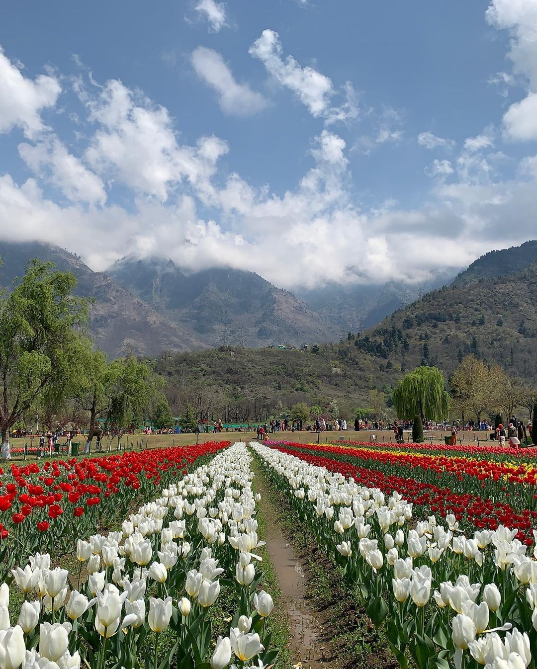 (Photo: drunken_wanderer_/Instagram)