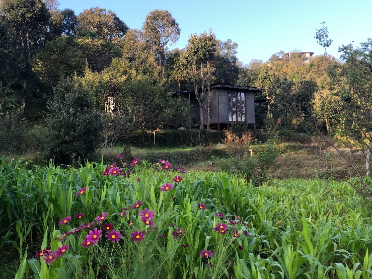 Meraki @ The Woodhouse Farm, Satoli, Uttarakhand