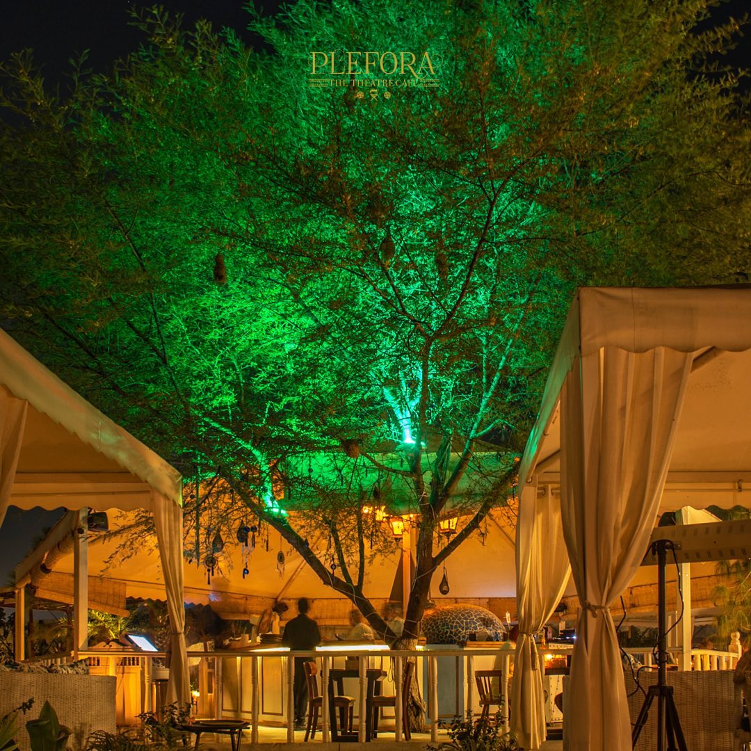 pleforahouse/ Instagram