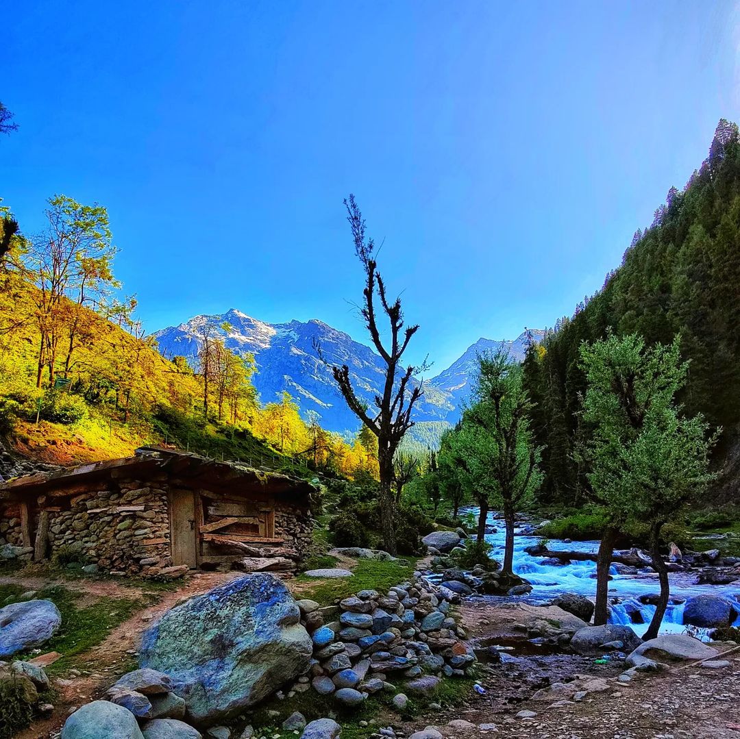 (Photo: _poorva.tiwari_/Instagram)