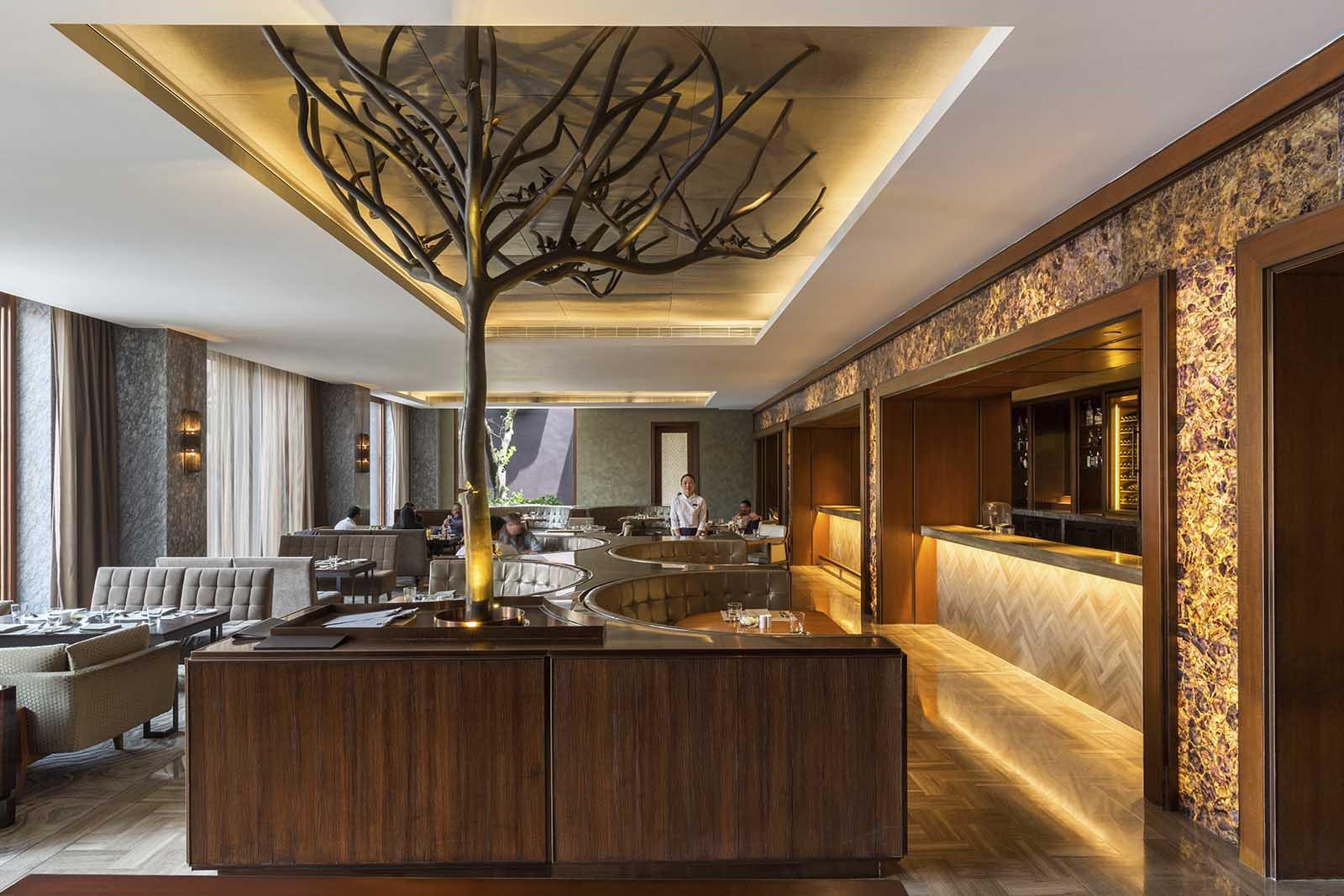 The Roseate Samalkha