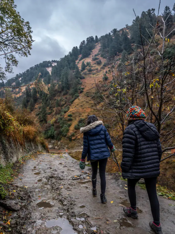 Food & Culture Tour – Himachal Pradesh