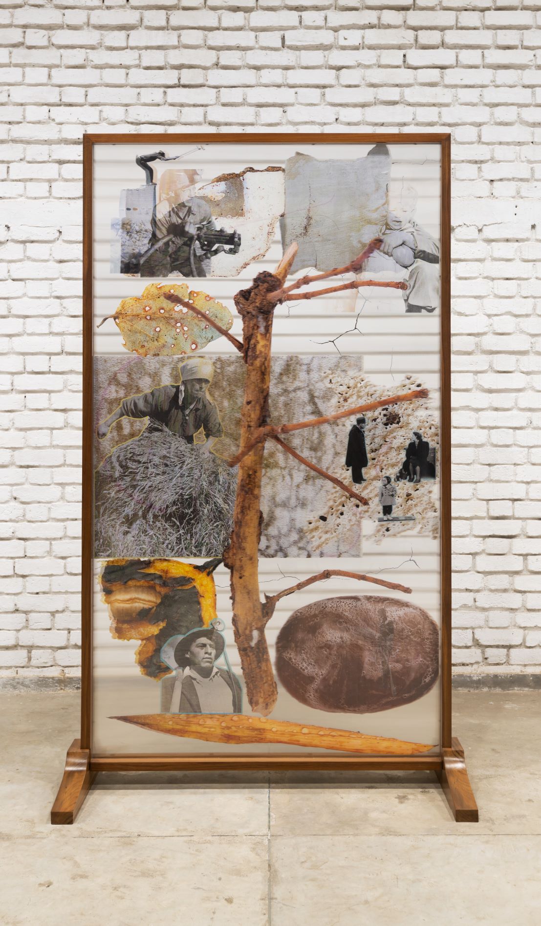 Between cosmic and the terrestrial, Jitesh Kallat touches West Asia