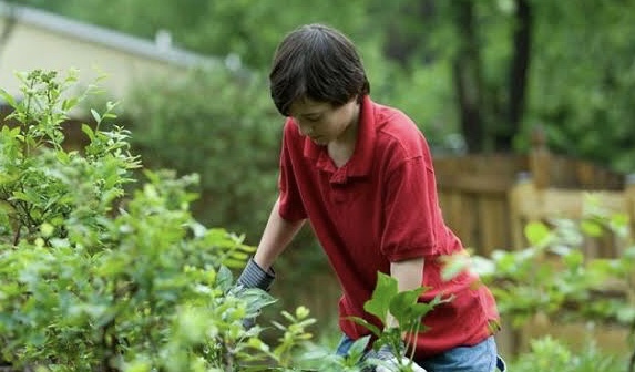 GROW YOUR PLANTS, GROW YOUR SOUL