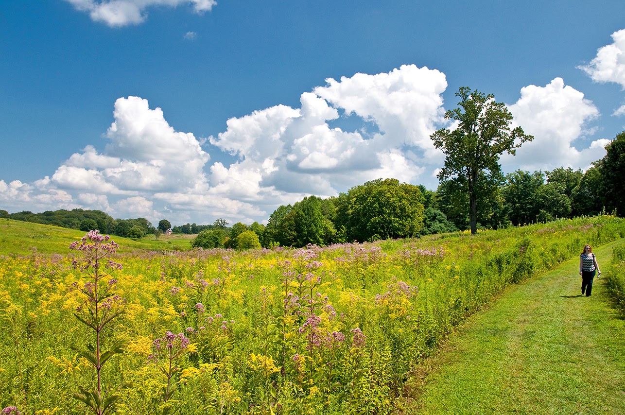 Countryside of Philadelphia
