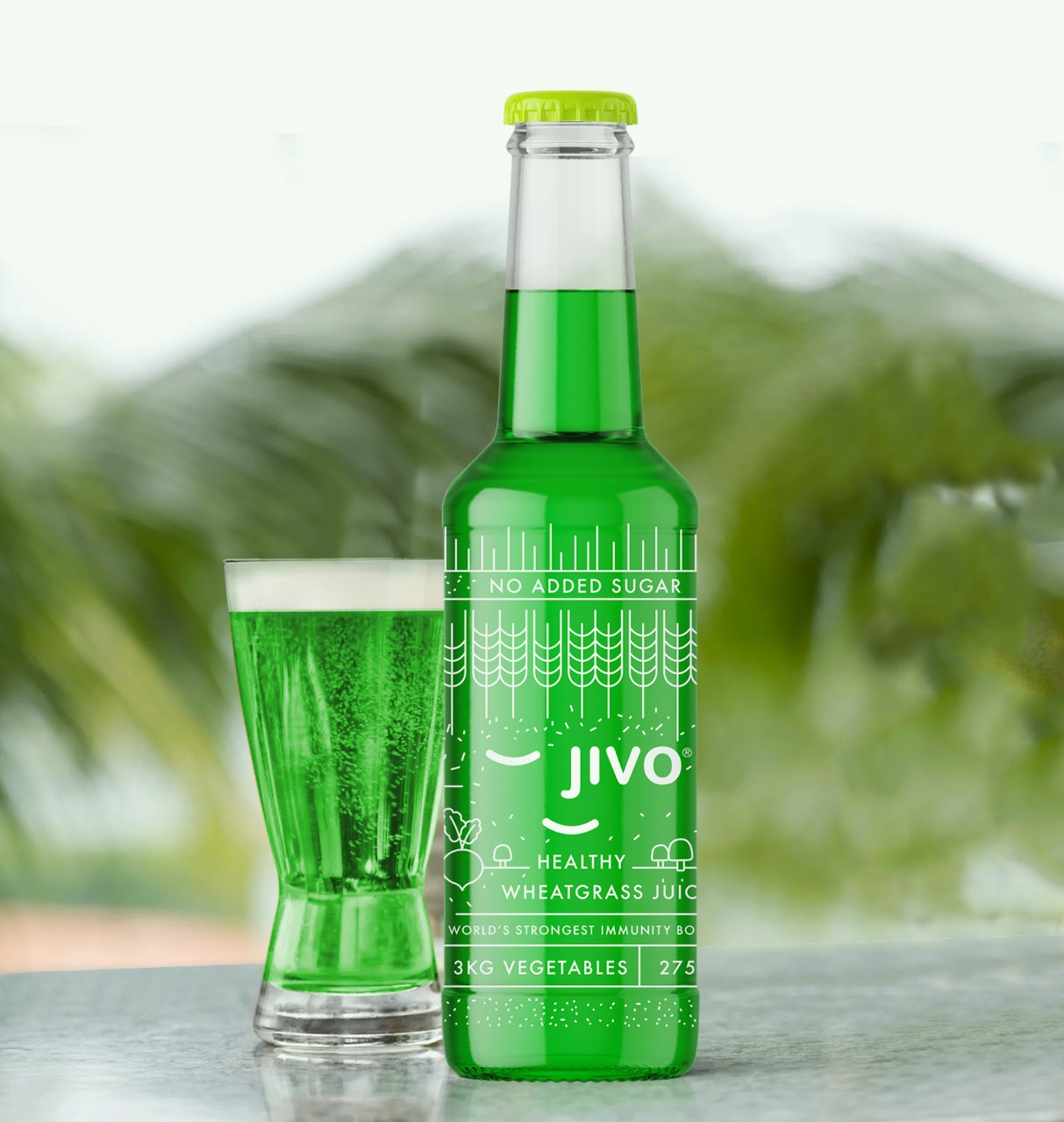 Jivo