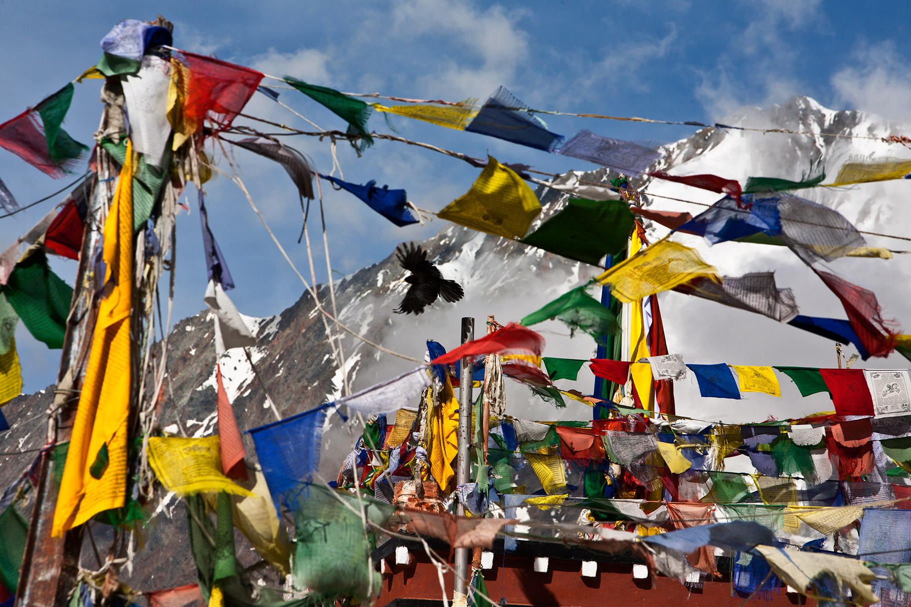 A still from the exhibition of photographs by Kishore Thukral, Source: Kishore Thukral/IIC 