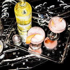 Absolut Cosmopolitan