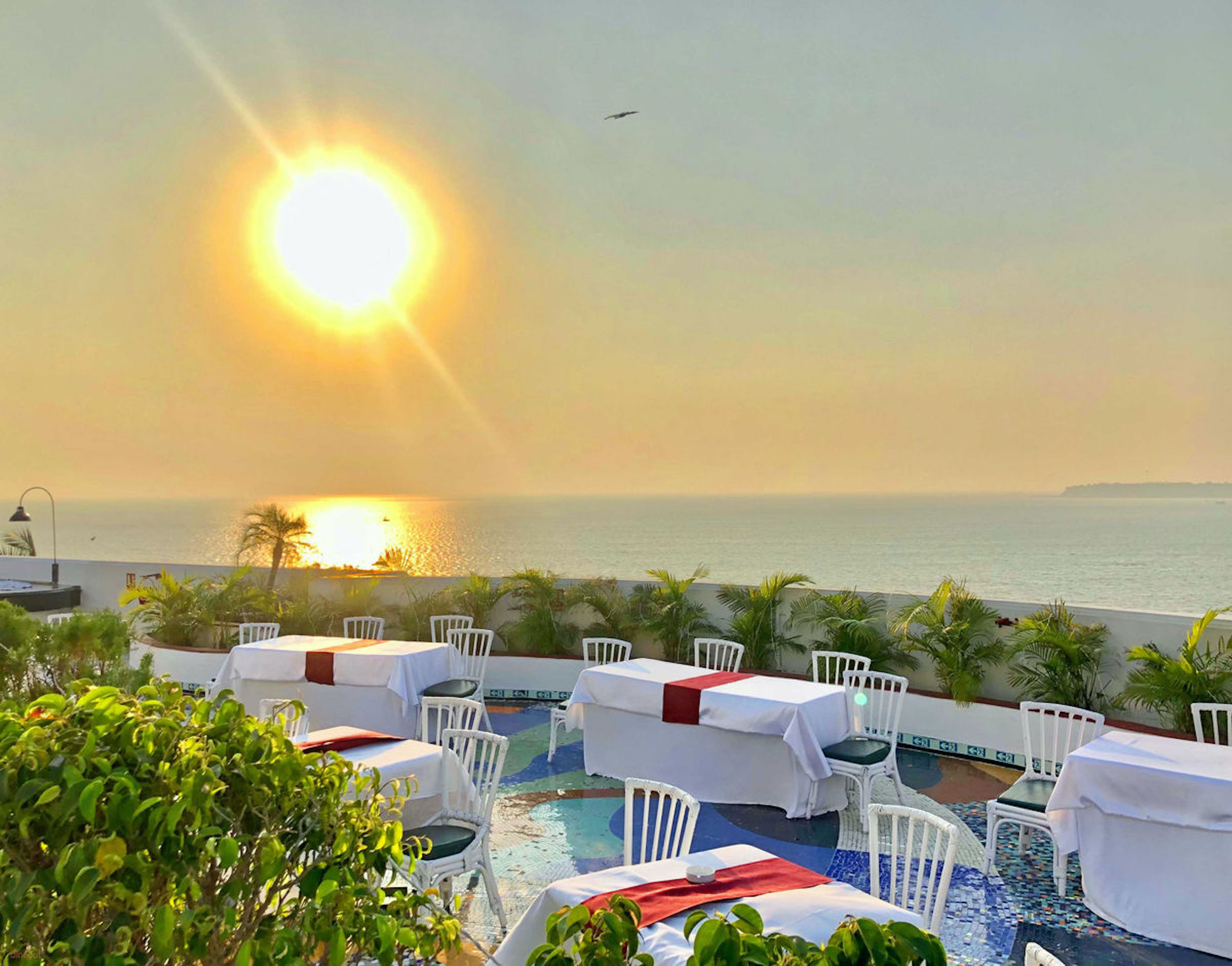 Dine under the stars! This Valentine’s Day at Allamanda Terrace, at Hotel Marine Plaza