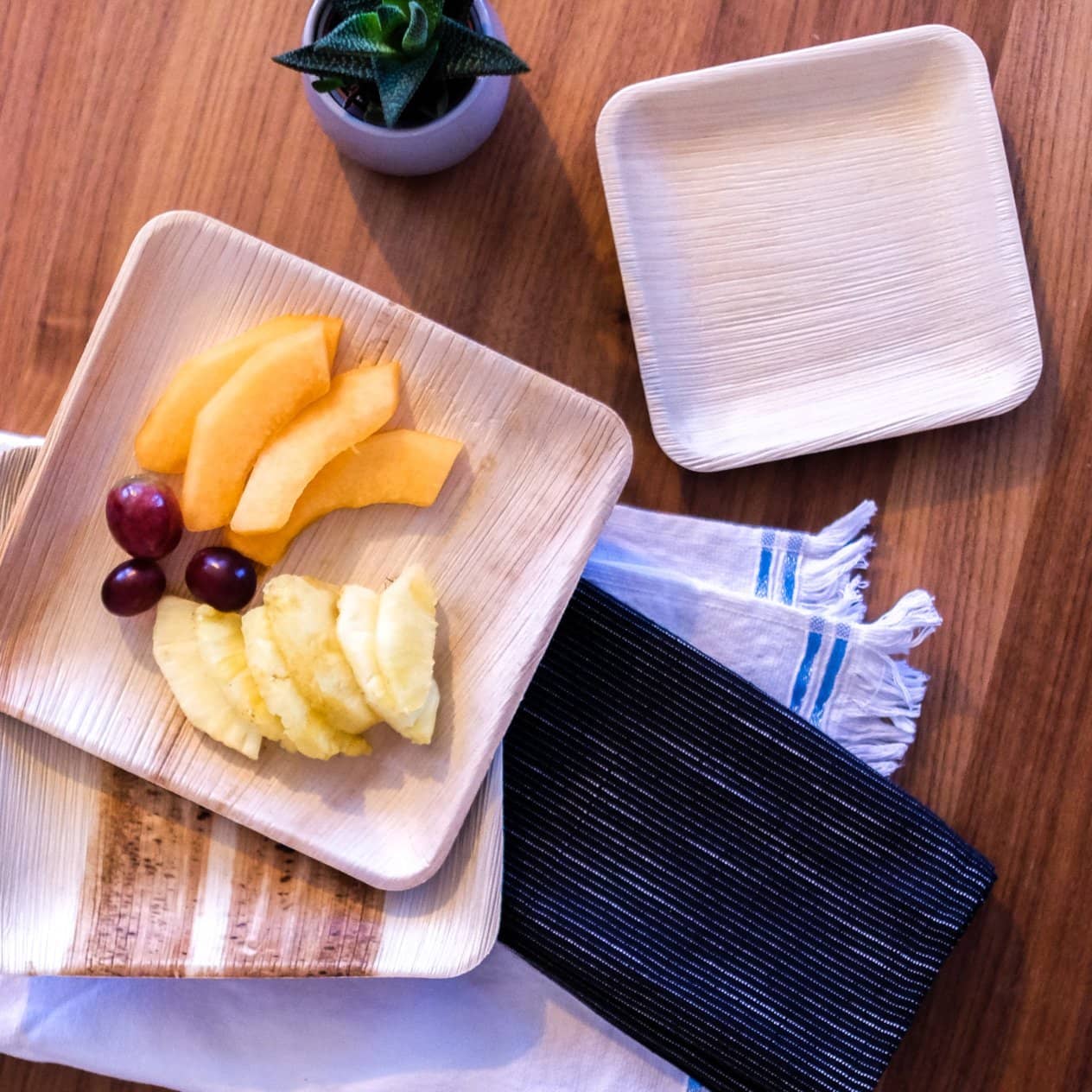 Areca Leaf Plates by Prakritii Cultivating Green