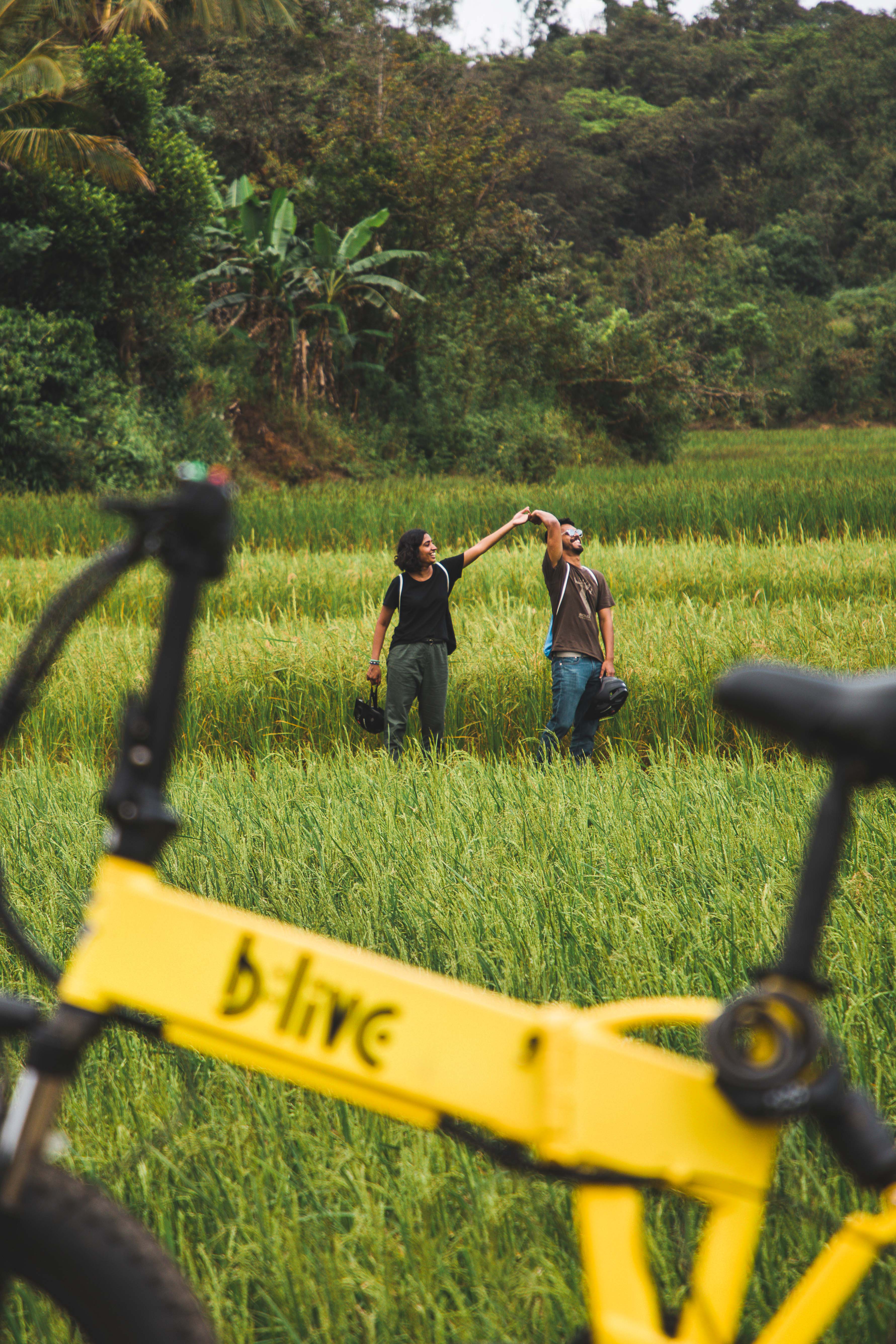 BLive - Madikeri Nature Trail
