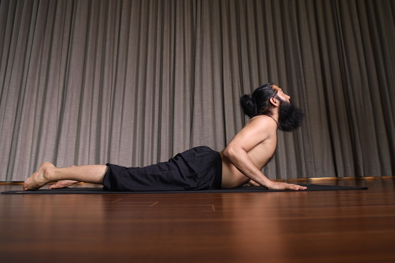 Bhujangasana 
