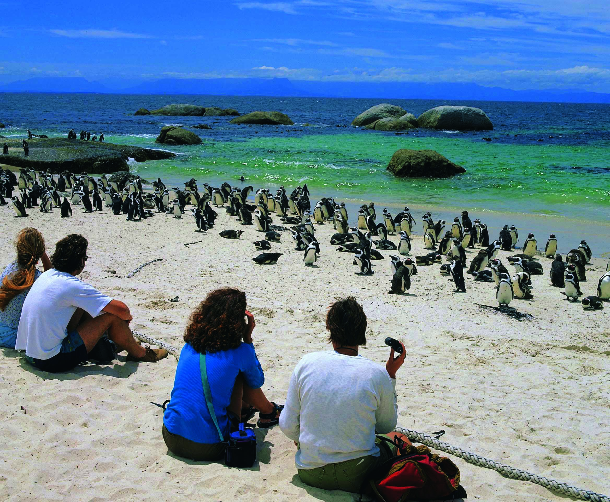 Boulders Beach, South Africa