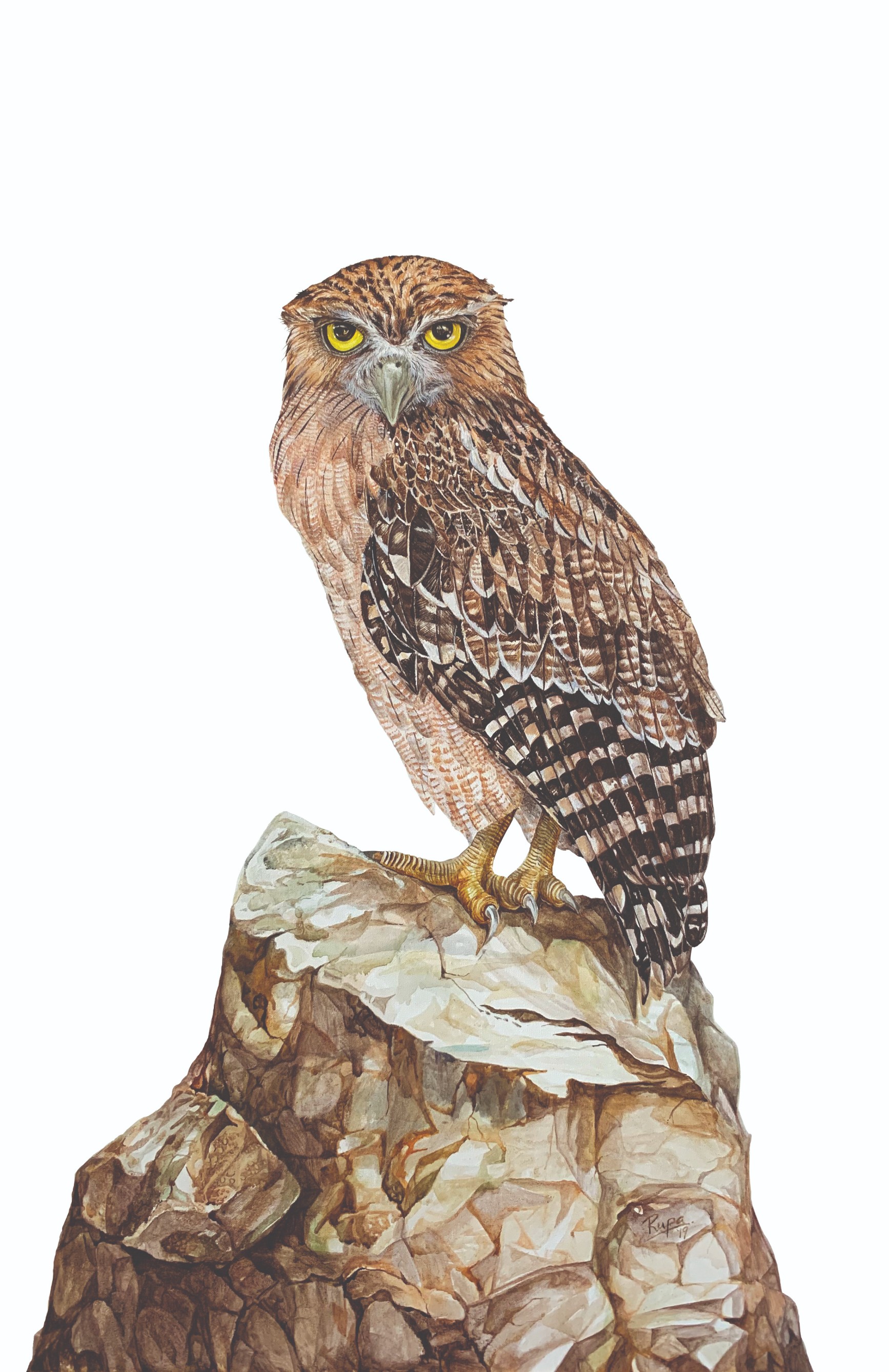 Brown Fish-Owl