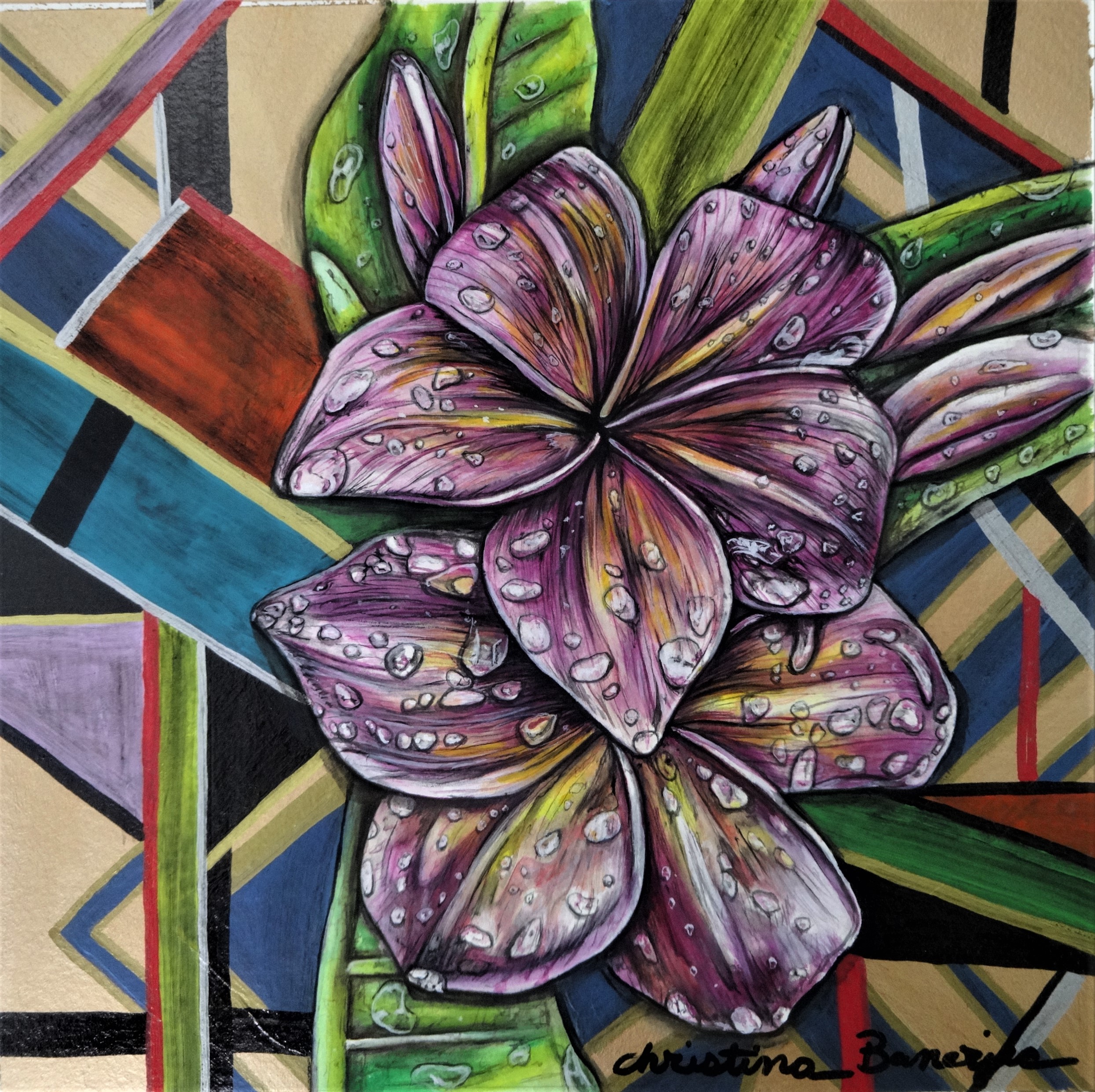 Christina Banerjee 'Identity'