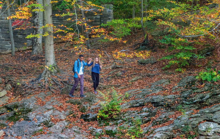 Wissahickon Valley Park