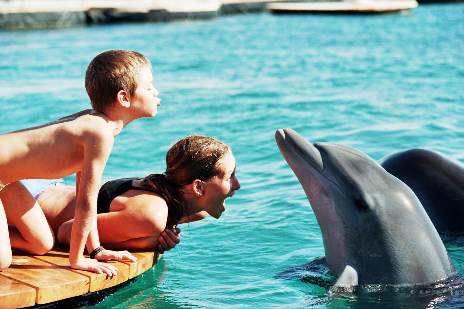 Dolphin Reef - Eilat (Photo credit - Galit Amiel and  Israel Ministry of Tourism)