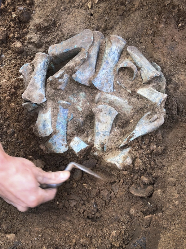 Excavation of the Havering Hoard (c) Archaeological Solutions Ltd