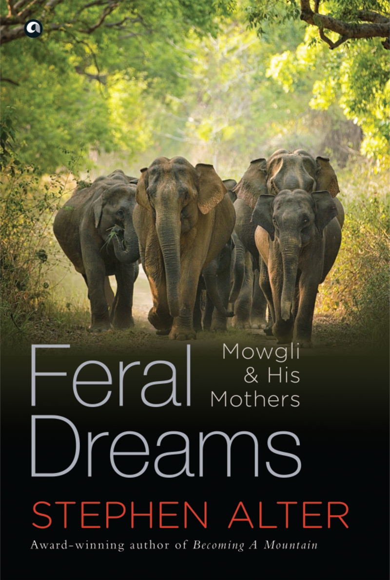Feral Dreams