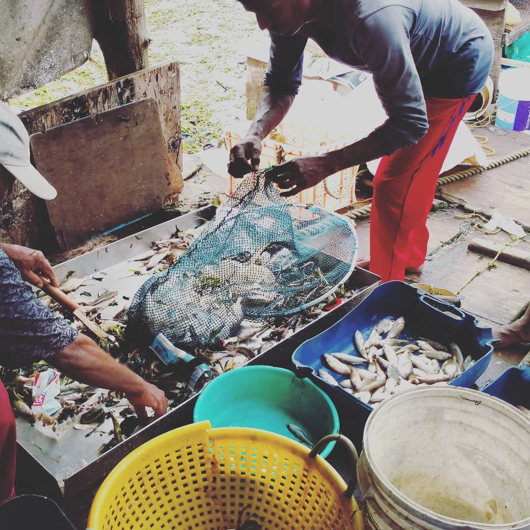 Fresh Fish Produce, Kochi