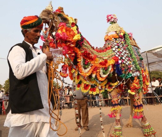 Dressed for the contest