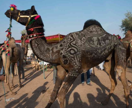 Beautiful tattoo - trimmed on skin