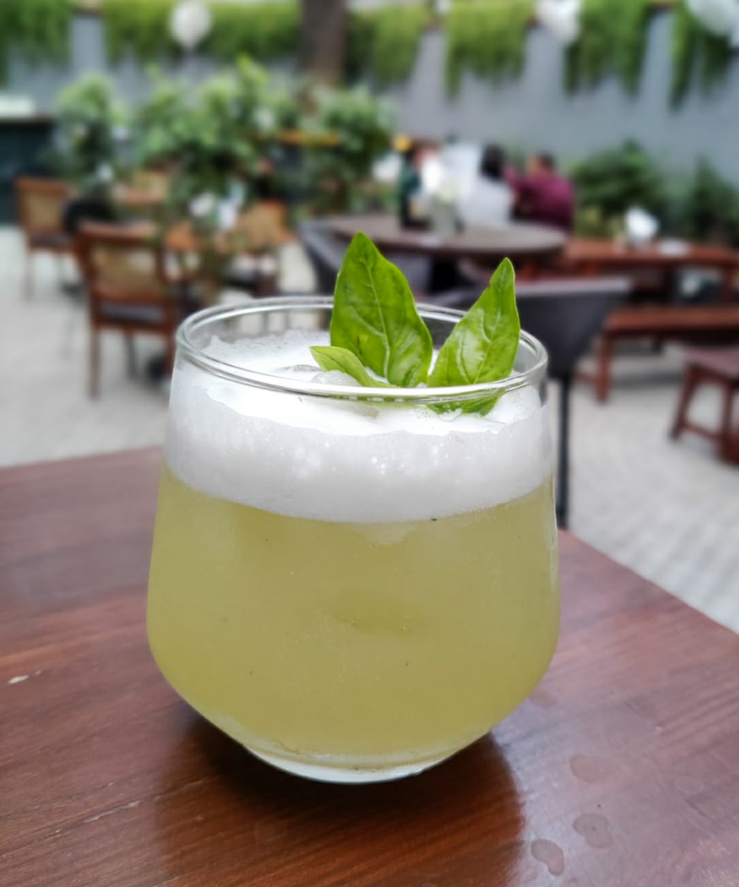 Gin Basil Sour