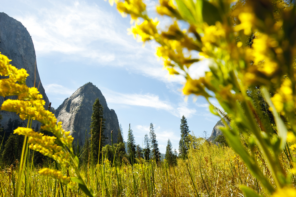  High Sierra, Yosemite National Park