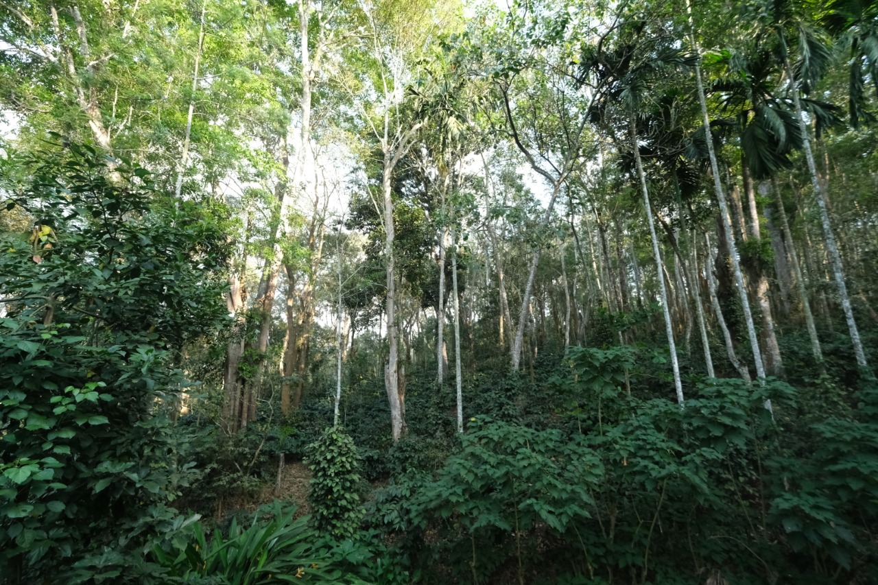 (Photo: Daniel D'Souza/Airbnb)