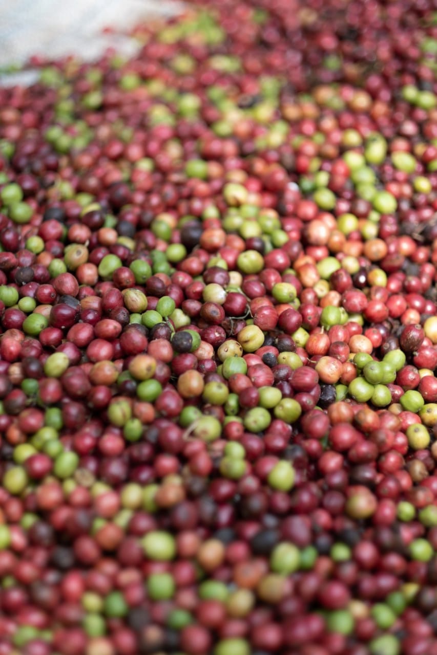 (Photo: Daniel D'Souza/Airbnb)