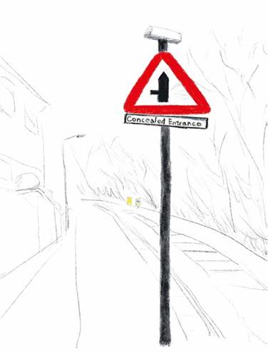 Illustartion the yellow book.