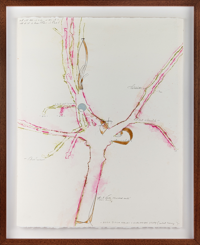 Jitish Kallat's drawing