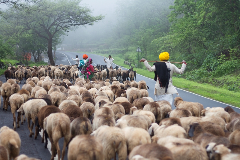 Living Lightly presents Desi Oon 