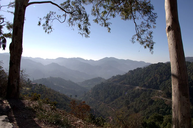  Lower_Himalays_Kasauli_Himachal_Pradesh