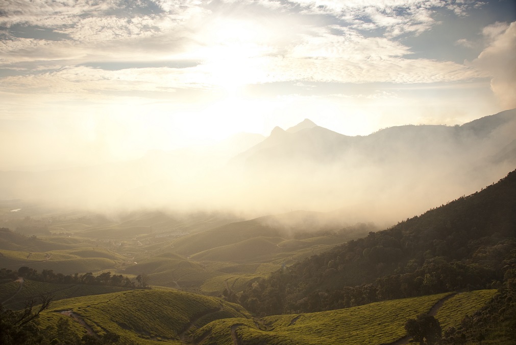 Club Mahindra Munnar Resort