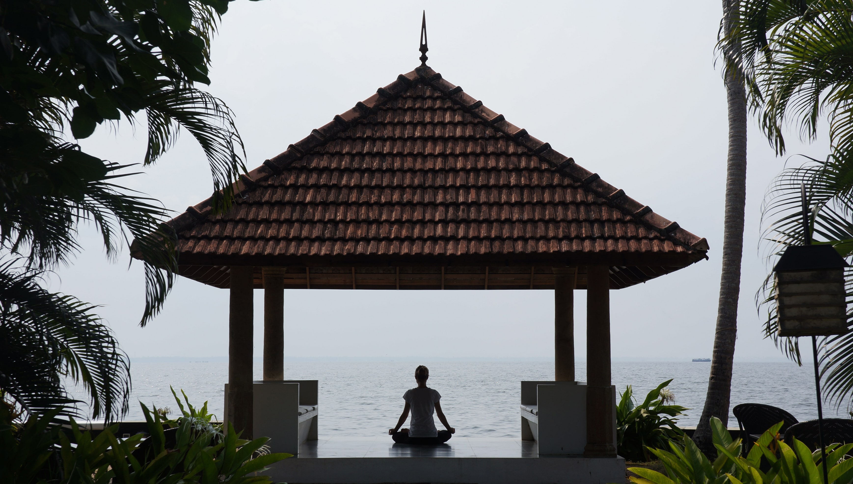 Malabar Escapes-Purity Muhamma