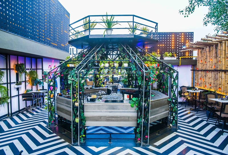 Molecule  ( Lets get ready for Gin Garden Drunch.) 