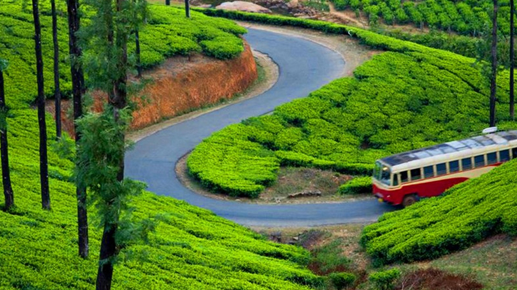Munnar and Alleppey in Kerala.jpg 