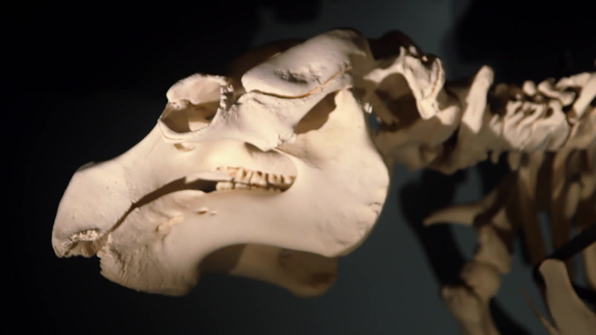 A still from the show