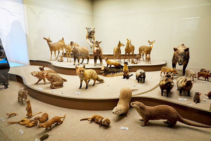 National Institute of Biological Resources