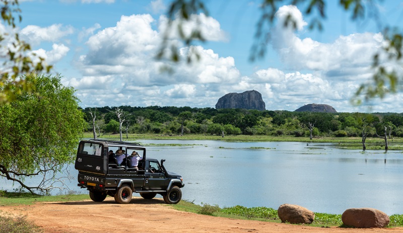 Yala National Park