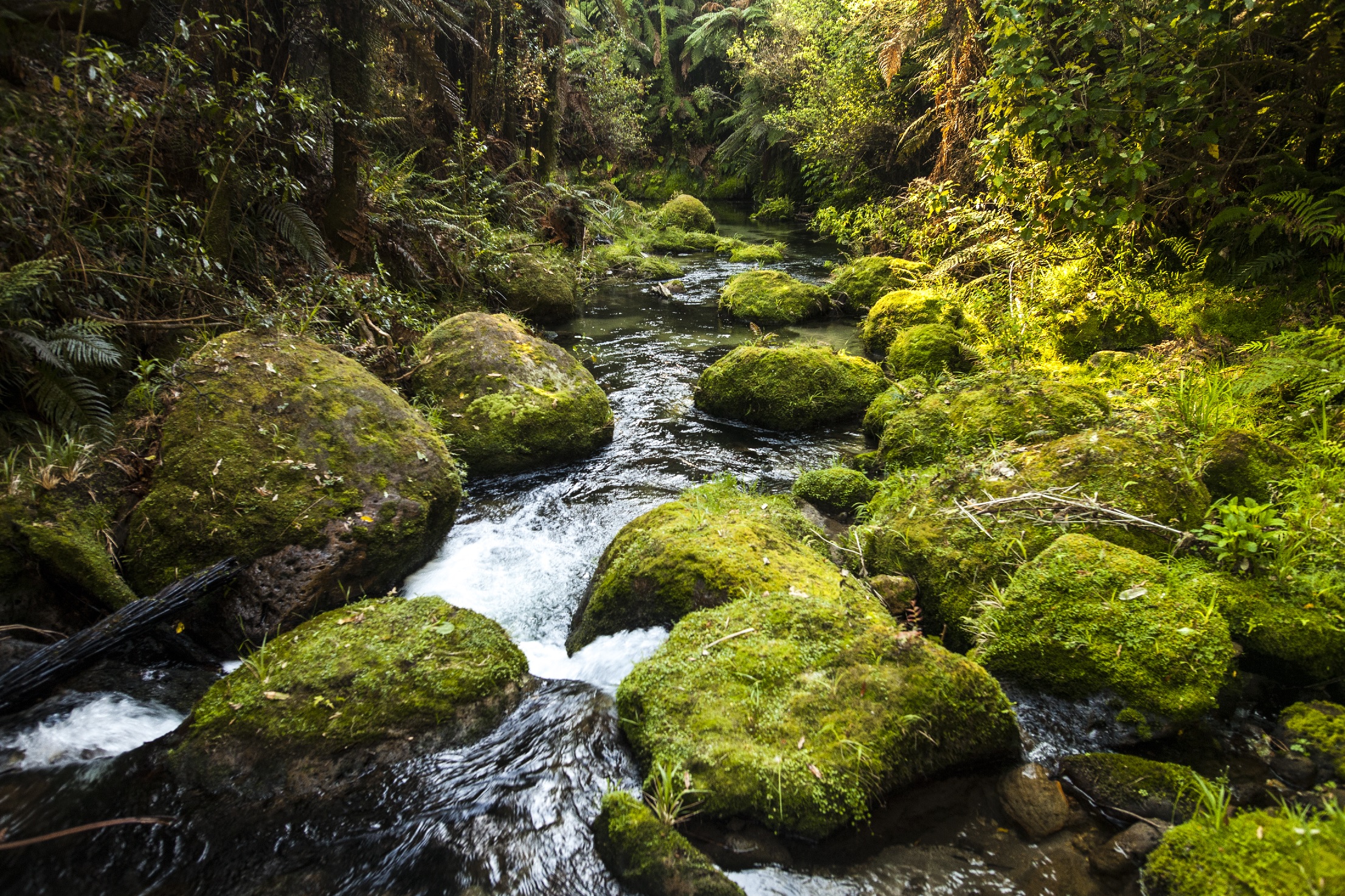 Phoenix Valley. (Photo: dankerinsphotography)