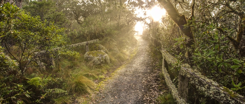 Point Lookout, Weeping rock Lookout, New England National Park