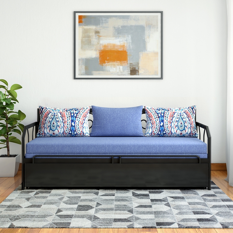 Vibrant Sofa cum Bed